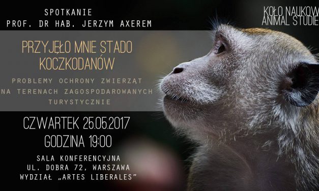 Spotkanie: „Przyjęło mnie stado koczkodanów”