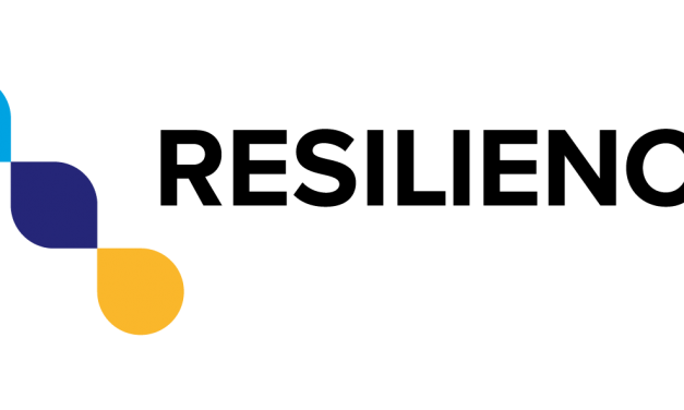 Wyszukiwarka naukowa ReIReSearch