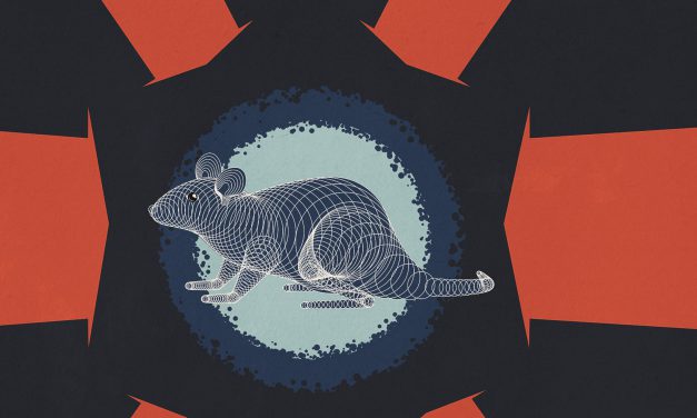 Projekt: „Czystka gatunkowa. Polityczny wymiar tępienia szczurów w Polsce po 1945 roku”