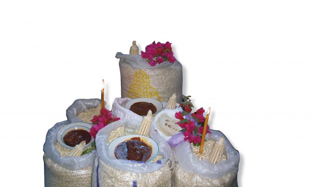 „Tlitzonpitentzin, Embers, Żar” autorstwa Gustavo Zapoteco Sideño, Adama Coona i Szymona Grudy