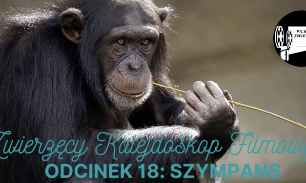 Cleve Hicks i Toni Romani w podcaście Zwierzęcy Kalejdoskop Filmowy