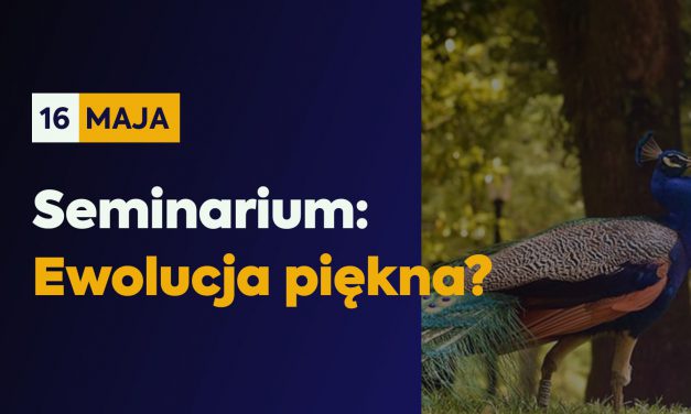 Seminarium: „Ewolucja piękna?”